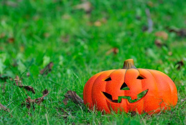 Keep Halloween Fun, Not Scary